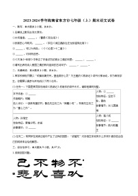 2023-2024学年海南省东方市七年级（上）期末语文试卷（含详细答案解析）