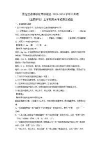 黑龙江省绿绥化市绥棱县2023-2024学年八年级（上）（五四学制）期末语文试卷（解析版）