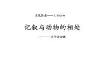 初中人教部编版（2024）任务三 记述与动物的相处教课ppt课件