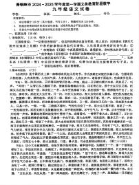 宁夏回族自治区吴忠市青铜峡市2024-2025学年九年级上学期1月期末语文试题