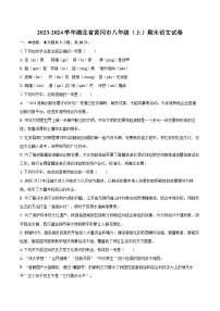 2023-2024学年湖北省黄冈市八年级（上）期末语文试卷(含详细答案解析)