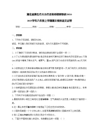 湖北省黄石市大冶市还地桥镇教联体2024-2025学年八年级上学期期末模拟语文试卷(含答案)