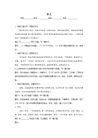 作文-统编版语文九年级上学期期末专项复习试题