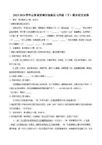 2023-2024学年山东省济南市高新区七年级（下）期末语文试卷（含详细答案解析）