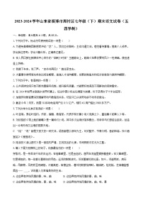 2023-2024学年山东省淄博市周村区七年级（下）期末语文试卷（五四学制）（含详细答案解析）