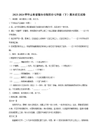 2023-2024学年山东省烟台市海阳市七年级（下）期末语文试卷（含详细答案解析）