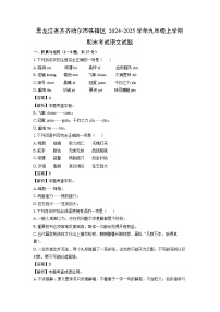 2024~2025学年黑龙江省齐齐哈尔市铁锋区九年级上学期期末考试语文试卷（解析版）