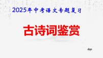 2025年中考语文专题复习课件：古诗词鉴赏