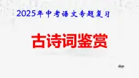 2025年中考语文专题复习课件：古诗词鉴赏