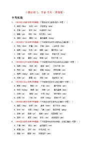 【备考2025】中考语文二轮小题必刷1 字音·字形 试卷（原卷版+解析版）