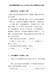 陕西省渭南市高新区2024-2025学年七年级上学期期末 语文试题（含解析）