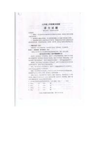 山东省泰安市新泰市2024-2025学年七年级上学期1月期末语文试题