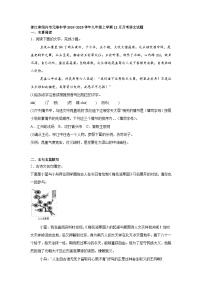 浙江省绍兴市元培中学2024-2025学年九年级上学期12月月考语文试题