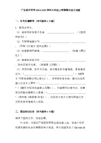 广东省开平市2024-2025学年九年级上学期期末 语文试题（含解析）