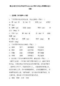 黑龙江省齐齐哈尔市讷河市2024-2025学年九年级上学期期末 语文试题（含解析）