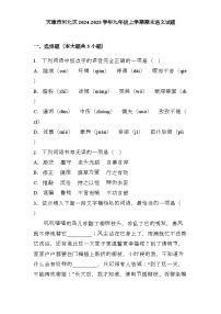 天津市河北区2024-2025学年九年级上学期期末 语文试题（含解析）