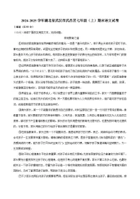 湖北省武汉市武昌区2024-2025学年七年级上学期期末考试语文试卷