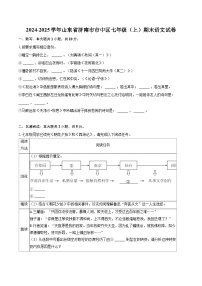 2024-2025学年山东省济南市市中区七年级（上）期末语文试卷(含详细答案解析)