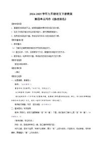 初中语文人教部编版（2024）九年级下册写作 修改润色教案