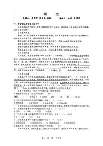 重庆市鲁能巴蜀中学2024-2025学年九年级上学期期末考试语文试题