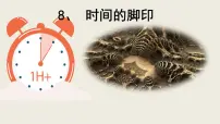 语文八年级下册时间的脚印课前预习课件ppt