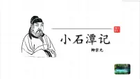初中语文人教部编版（2024）八年级下册小石潭记课文ppt课件