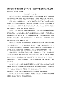 湖北省武汉市2024-2025学年八年级下学期开学适应性模拟测试 语文练习卷（含解析）