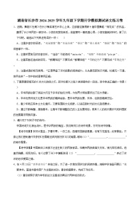 湖南省长沙市2024-2025学年九年级下学期开学模拟测试 语文练习卷（含解析）