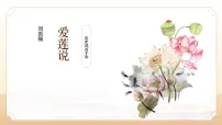 初中人教部编版（2024）爱莲说图文课件ppt