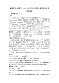 安徽省黄山市歙县2024-2025学年九年级(上)期末考试语文试卷（解析版）
