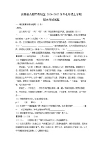 安徽省合肥市新站区2024-2025学年七年级(上)期末考试语文试卷（解析版）