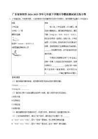 广东省深圳市2024-2025学年七年级下学期开学适应性模拟测试 语文练习卷