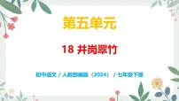 初中语文人教部编版（2024）七年级下册（2024）井冈翠竹试讲课教学课件ppt