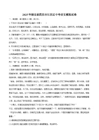 2025年湖北省武汉市江汉区中考语文模拟试卷