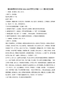 湖北省武汉市江汉区2024-2025学年九年级（上）期末语文试卷（解析版）