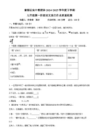湖北省随州市曾都区实验中学教联体2024~2025学年九年级下学期月考语文试题（原卷版+解析版）