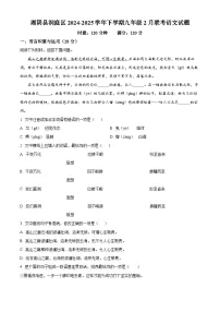 湖南省岳阳市湘阴县洞庭区校联考2024-2025学年九年级下学期2月月考语文试题（原卷版+解析版）