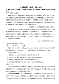 甘肃省临夏州2024年中考语文试卷含真题解析