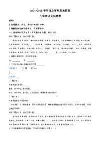 江西省赣州市大余县2024-2025学年九年级上学期期末语文试题（解析版）