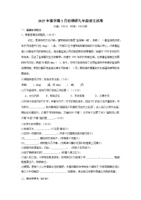 江苏省盐城市大丰区校联考2024-2025学年九年级下学期3月月考 语文试题