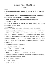 河南省平顶山市汝州市2024-2025学年九年级上学期期末语文试题（解析版）