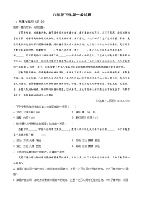 2025年山东省枣庄市市中区中考一模语文试题（原卷版+解析版）