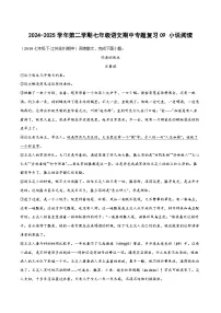 2024-2025学年统编版（2024）第二学期七年级语文期中专题复习09 小说阅读练习（含答案）