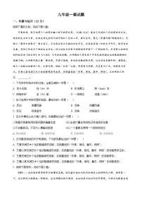 2025年山东省枣庄市台儿庄区中考一模语文试题（原卷版+解析版）
