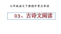 七年级下册语文 期中考点讲练 专题03 古诗文阅读（课件）2024-2025学年（统编版）