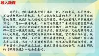 人教部编版（2024）七年级下册（2024）驿路梨花课文配套课件ppt
