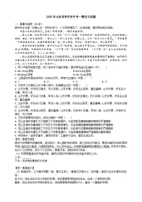2025年山东省枣庄市中考一模语文试题（含答案）