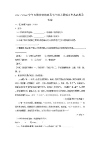 2021-2022学年安徽合肥肥西县七年级上册语文期末试卷及答案