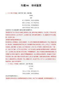 2024年中考语文真题分类汇编专题06 诗词鉴赏（第02期）（解析版）