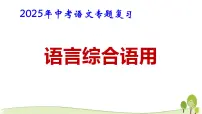 2025年中考语文专题复习：语言综合语用 课件